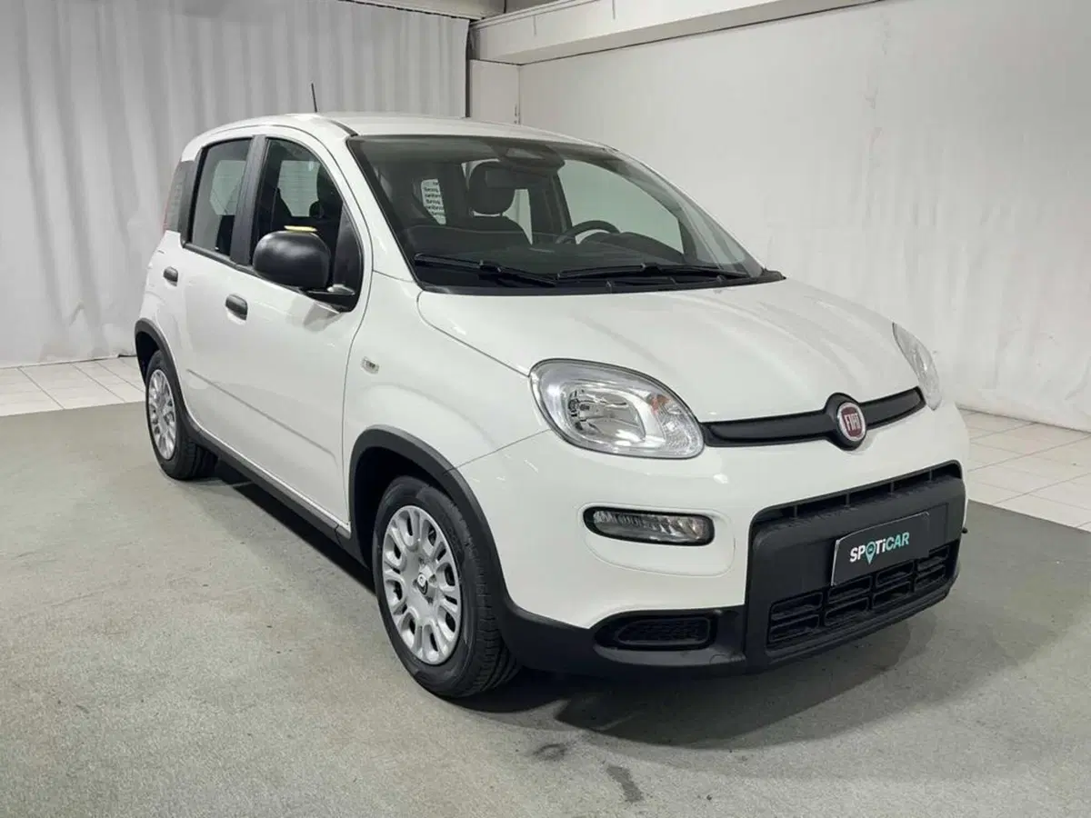 Fiat Pandina usata a Sondrio (7)
