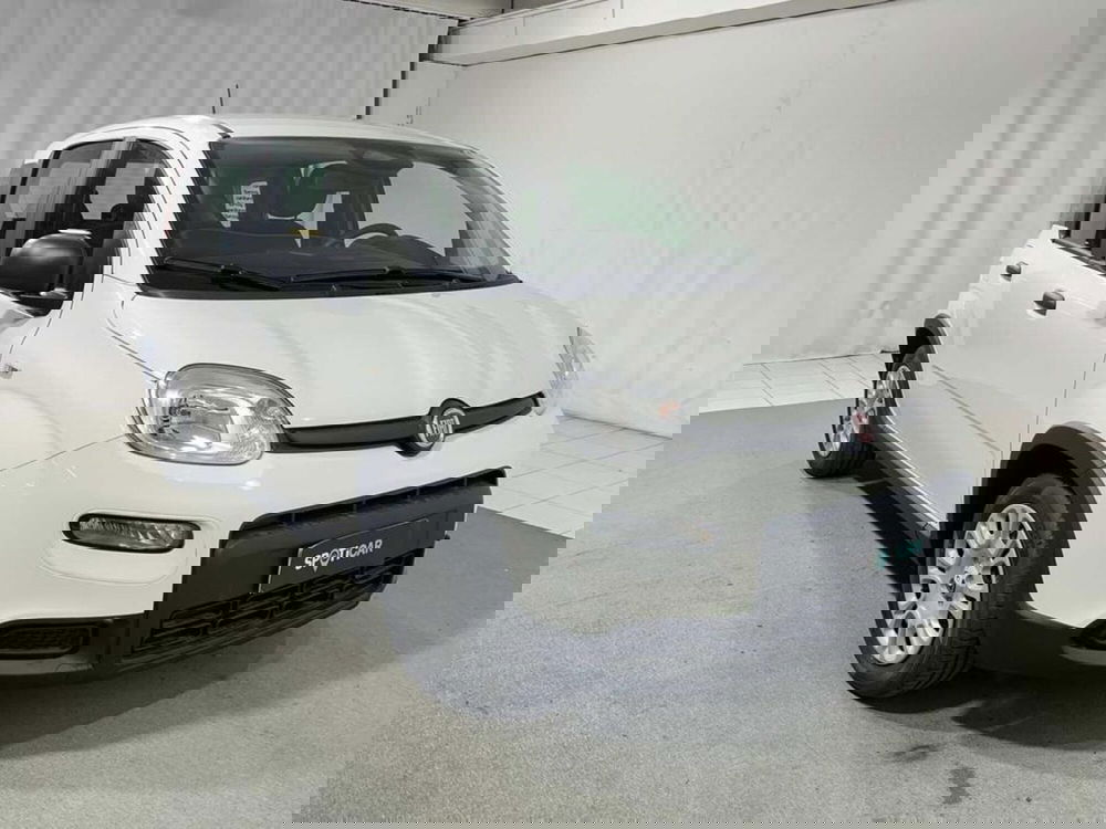 Fiat Pandina nuova a Sondrio (7)