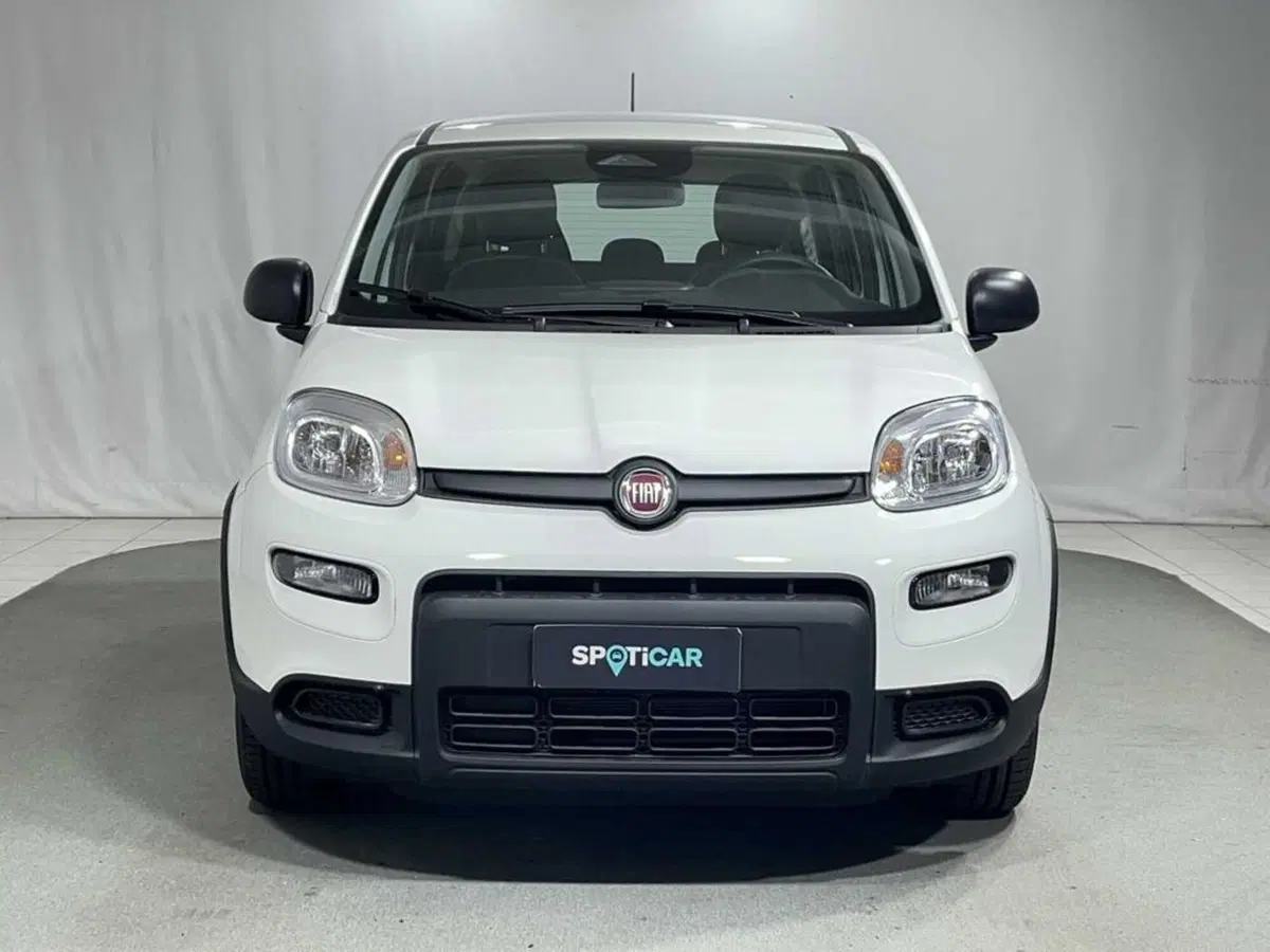 Fiat Pandina usata a Sondrio (8)