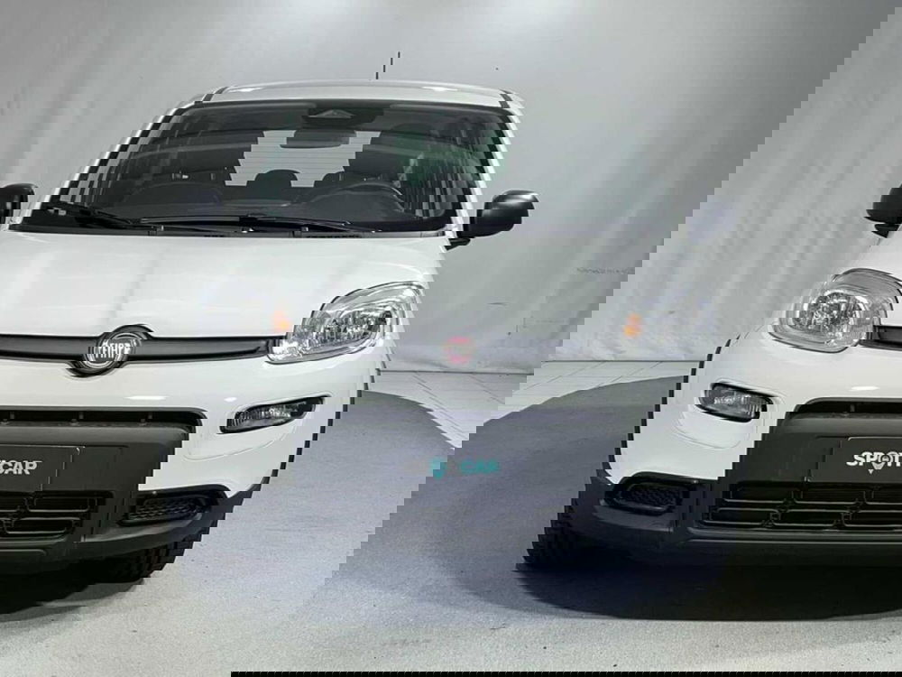 Fiat Pandina nuova a Sondrio (8)