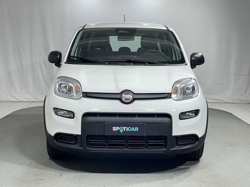 Fiat Pandina nuova a Sondrio (8)