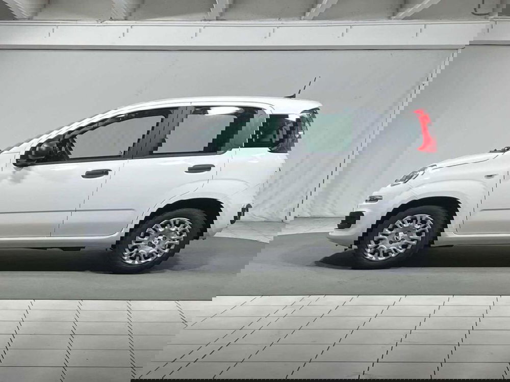 Fiat Pandina nuova a Sondrio