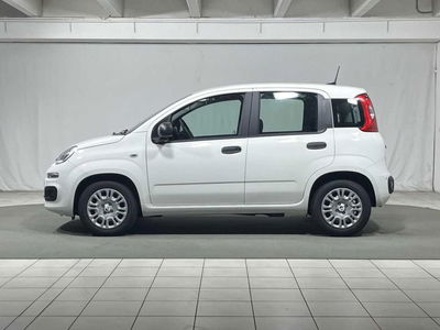 Fiat Pandina 1.0 firefly hybrid s&amp;s 70cv nuova a Montagna in Valtellina