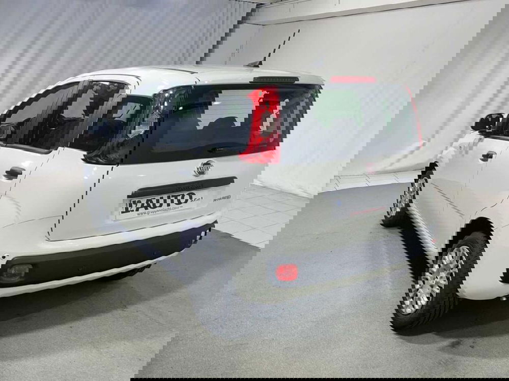 Fiat Pandina nuova a Sondrio (2)