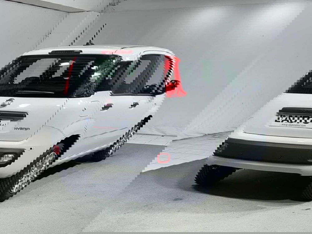 Fiat Pandina nuova a Sondrio (4)