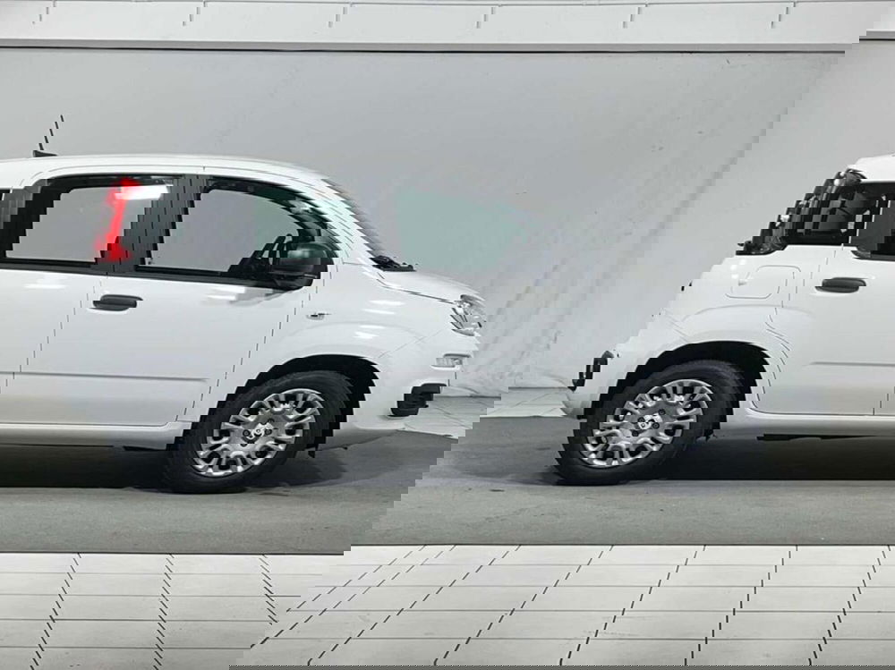 Fiat Pandina nuova a Sondrio (5)