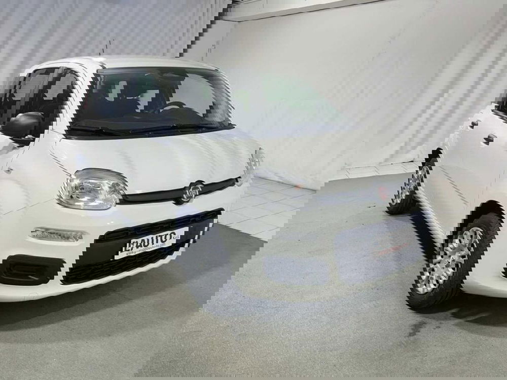 Fiat Pandina nuova a Sondrio (6)