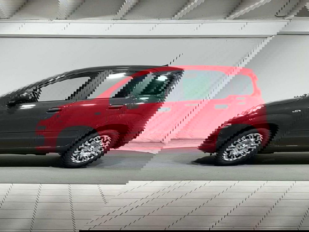 Fiat Pandina nuova a Sondrio (2)