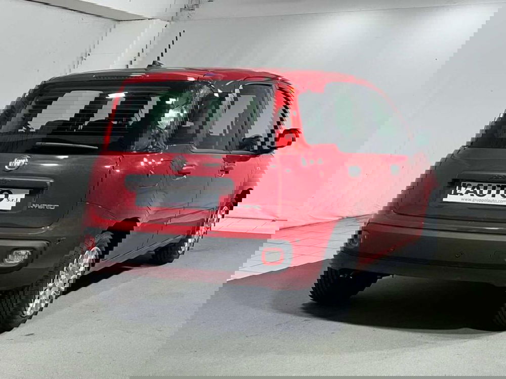 Fiat Pandina nuova a Sondrio (3)