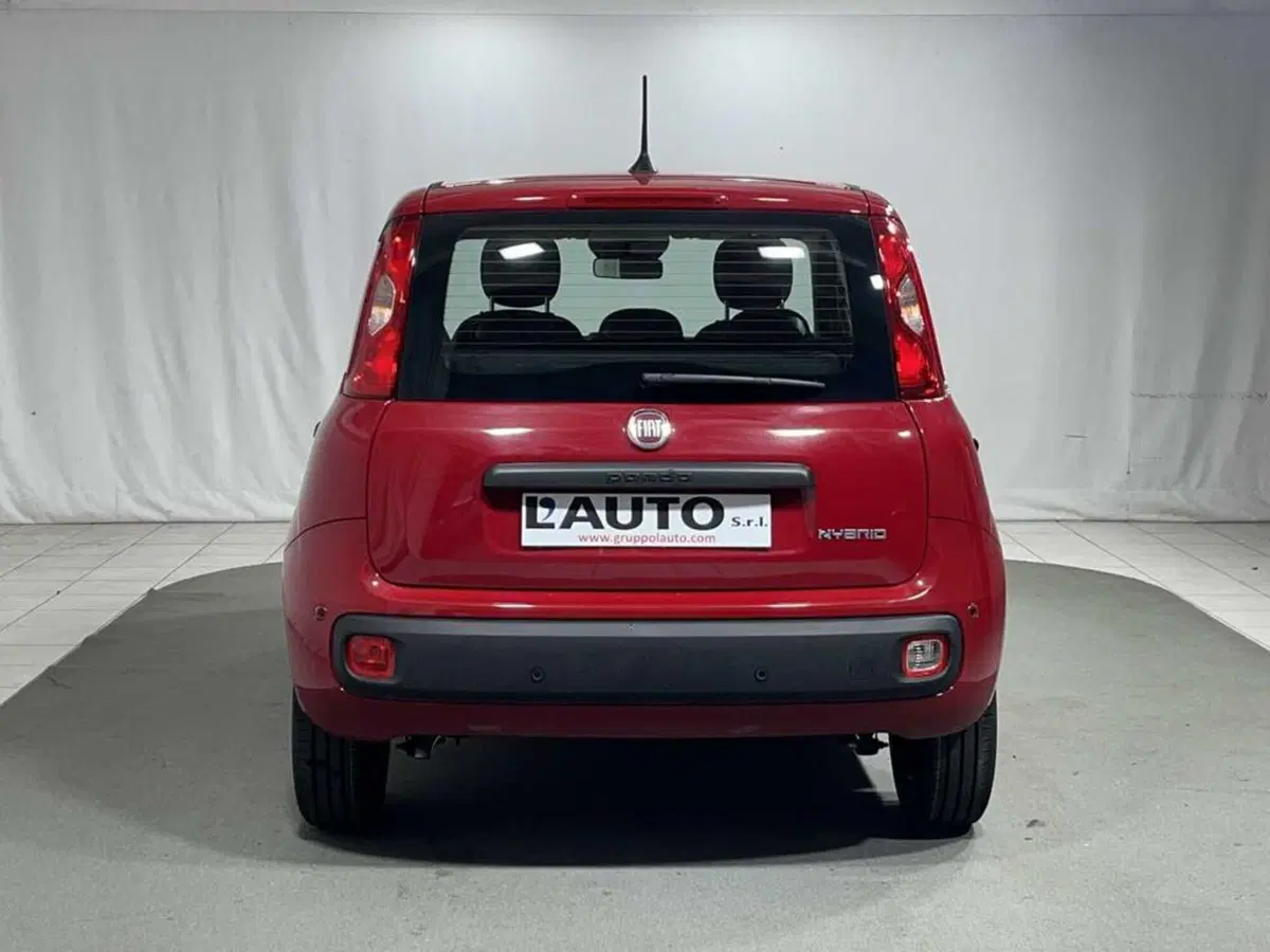 Fiat Pandina nuova a Sondrio (4)
