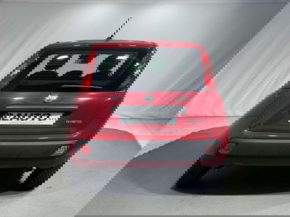 Fiat Pandina nuova a Sondrio (4)