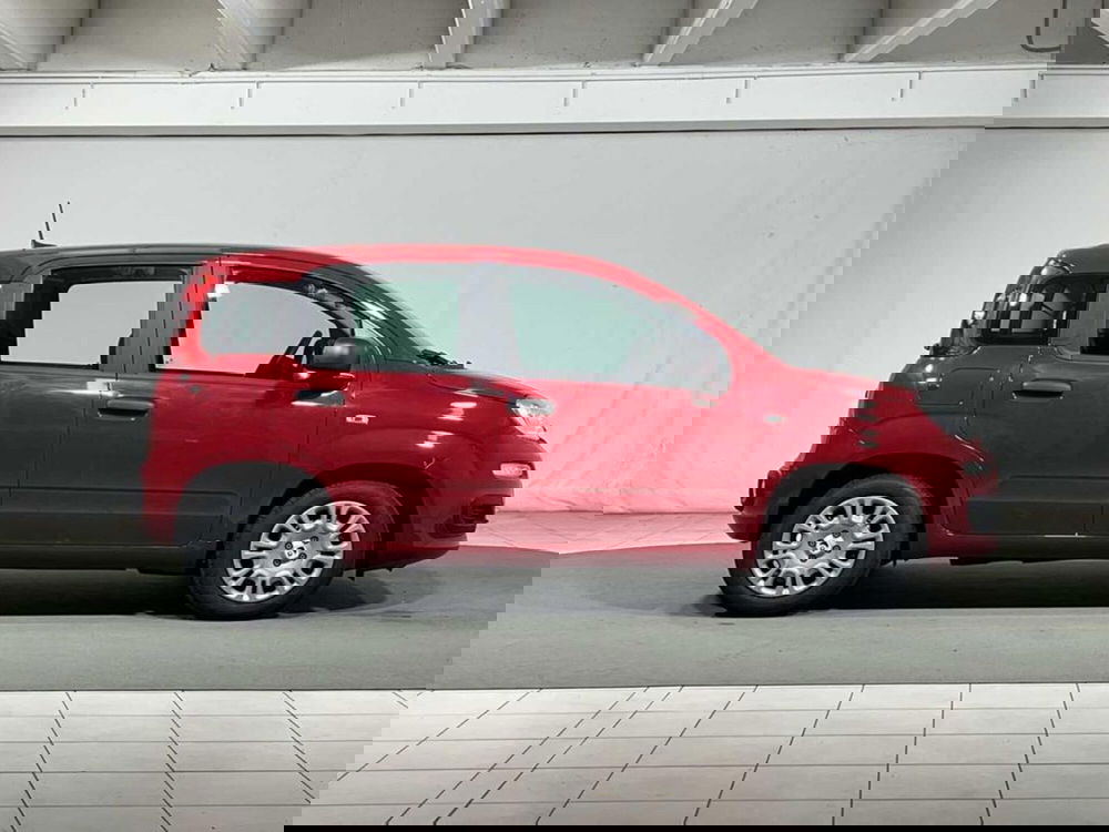 Fiat Pandina nuova a Sondrio (6)