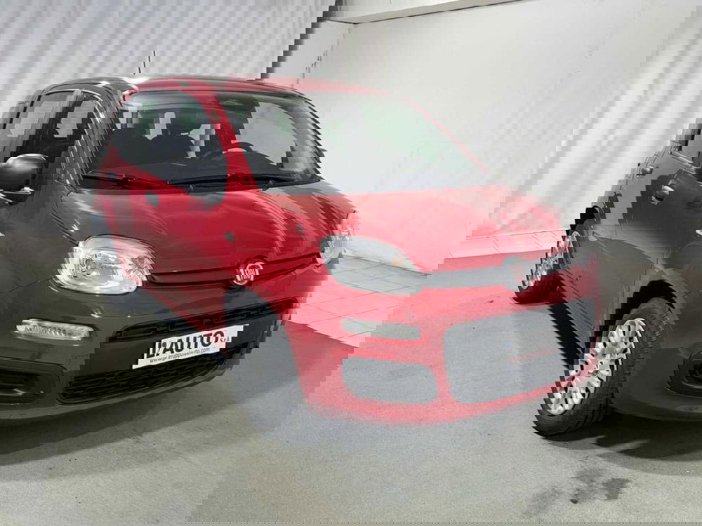 Fiat Pandina nuova a Sondrio (7)