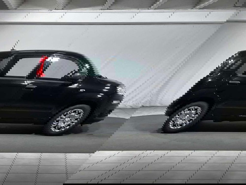 Fiat Pandina nuova a Sondrio (6)