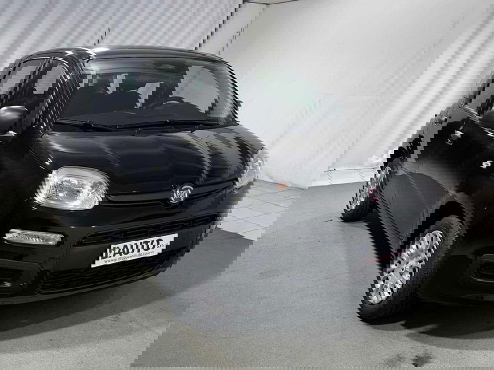 Fiat Pandina nuova a Sondrio (7)