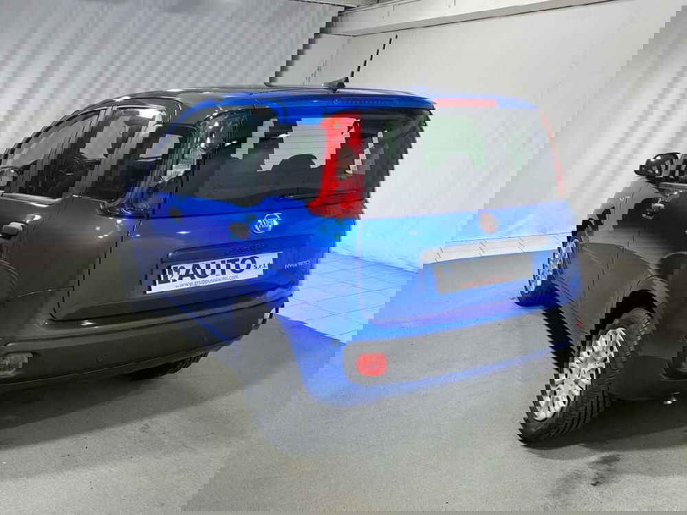 Fiat Pandina nuova a Sondrio (3)