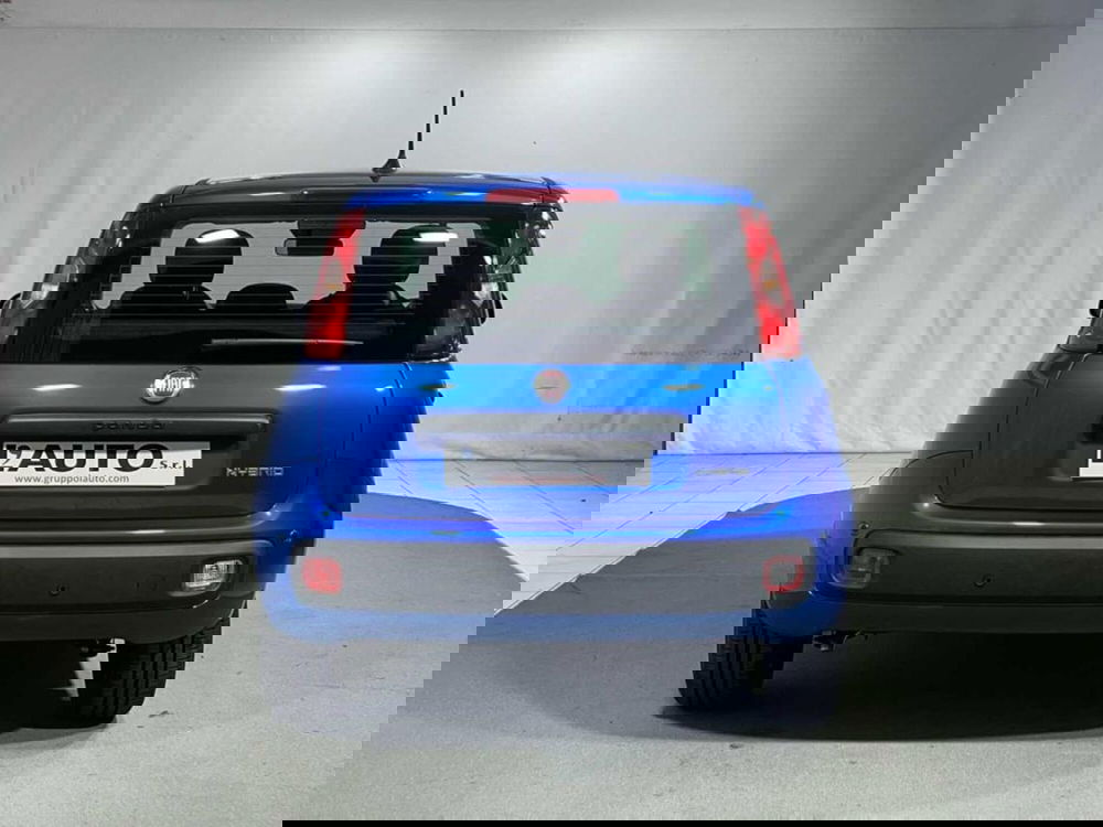 Fiat Pandina nuova a Sondrio (4)