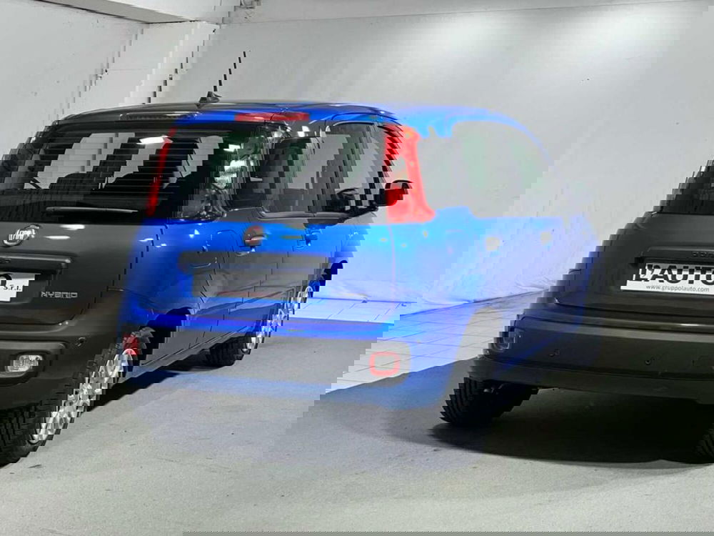 Fiat Pandina nuova a Sondrio (5)