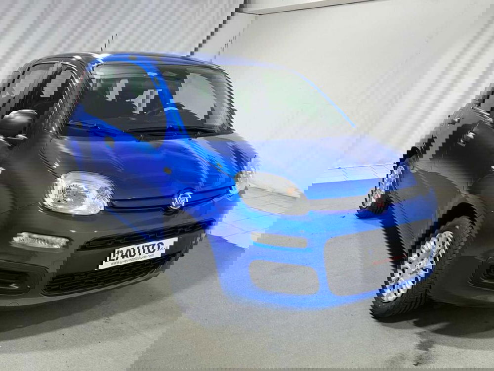 Fiat Pandina nuova a Sondrio (7)