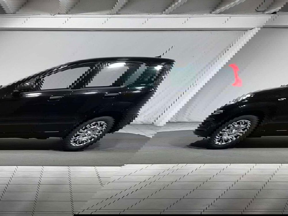 Fiat Pandina nuova a Sondrio (2)