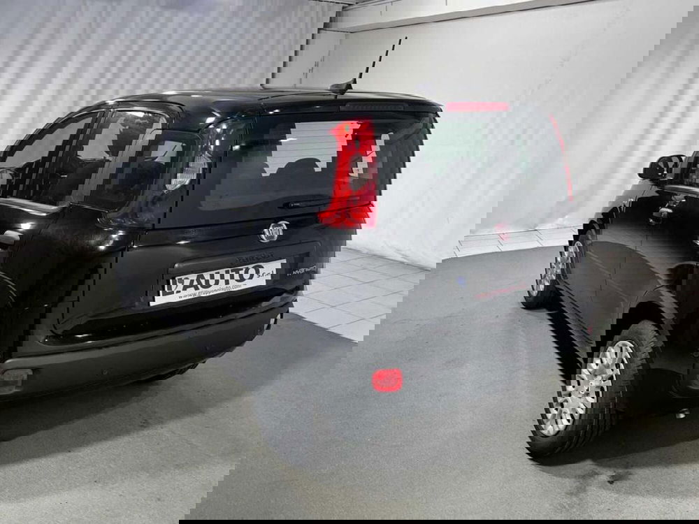 Fiat Pandina nuova a Sondrio (3)