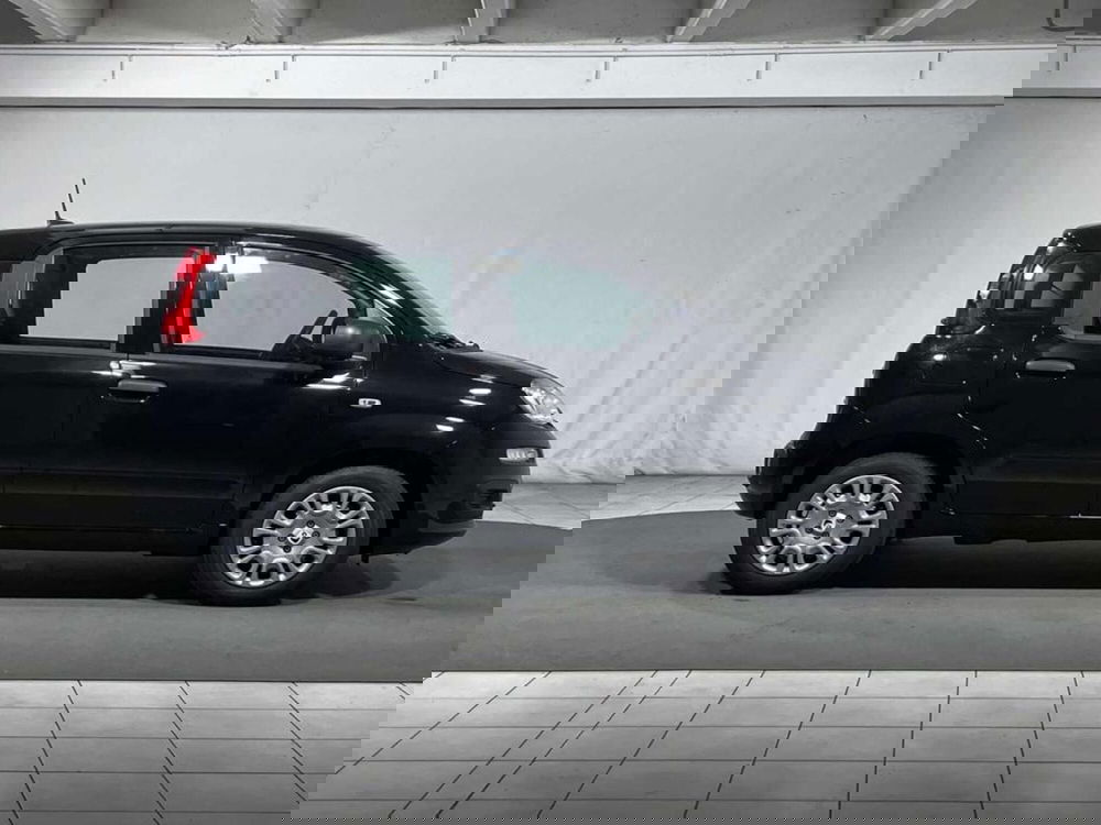 Fiat Pandina nuova a Sondrio (6)