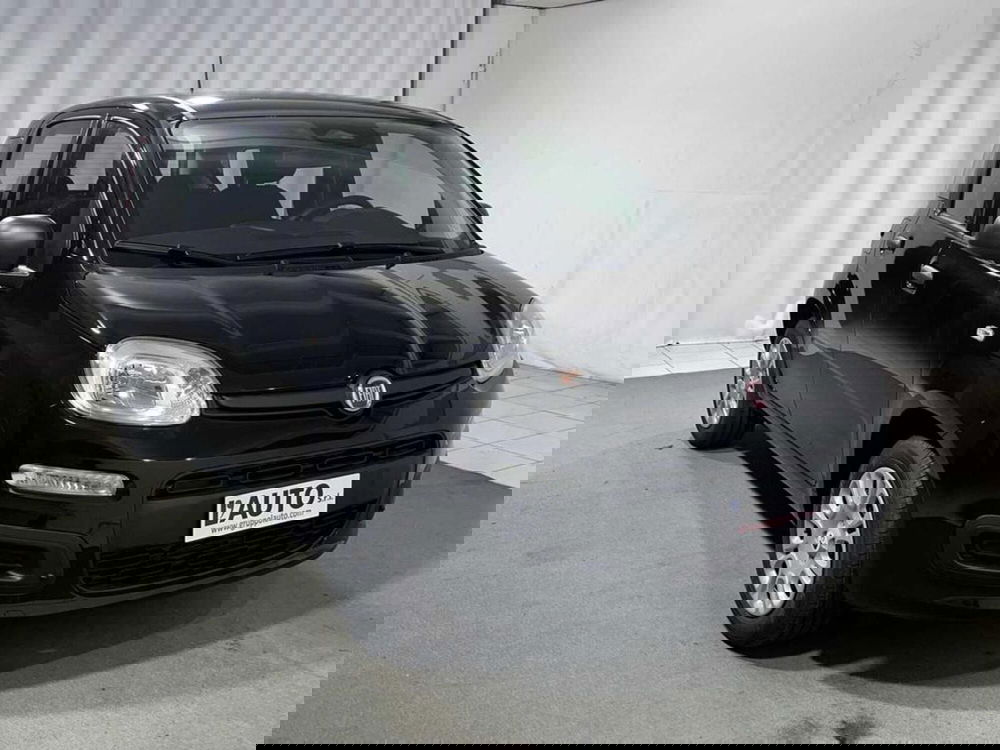 Fiat Pandina nuova a Sondrio (7)