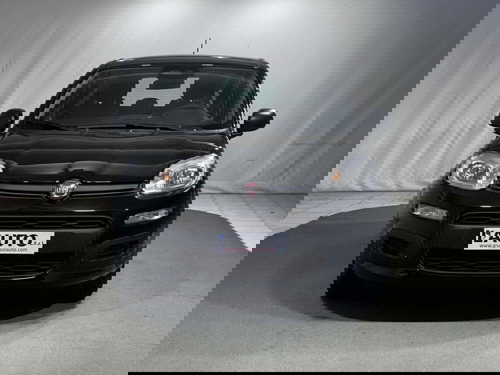 Fiat Pandina nuova a Sondrio (8)