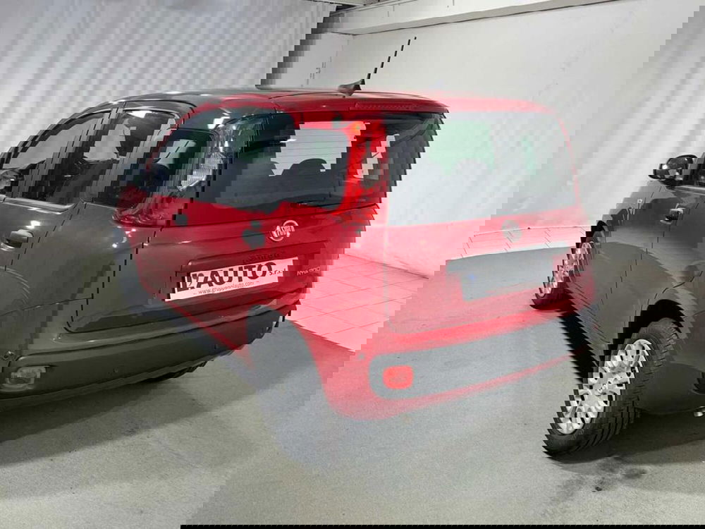 Fiat Pandina nuova a Sondrio (3)