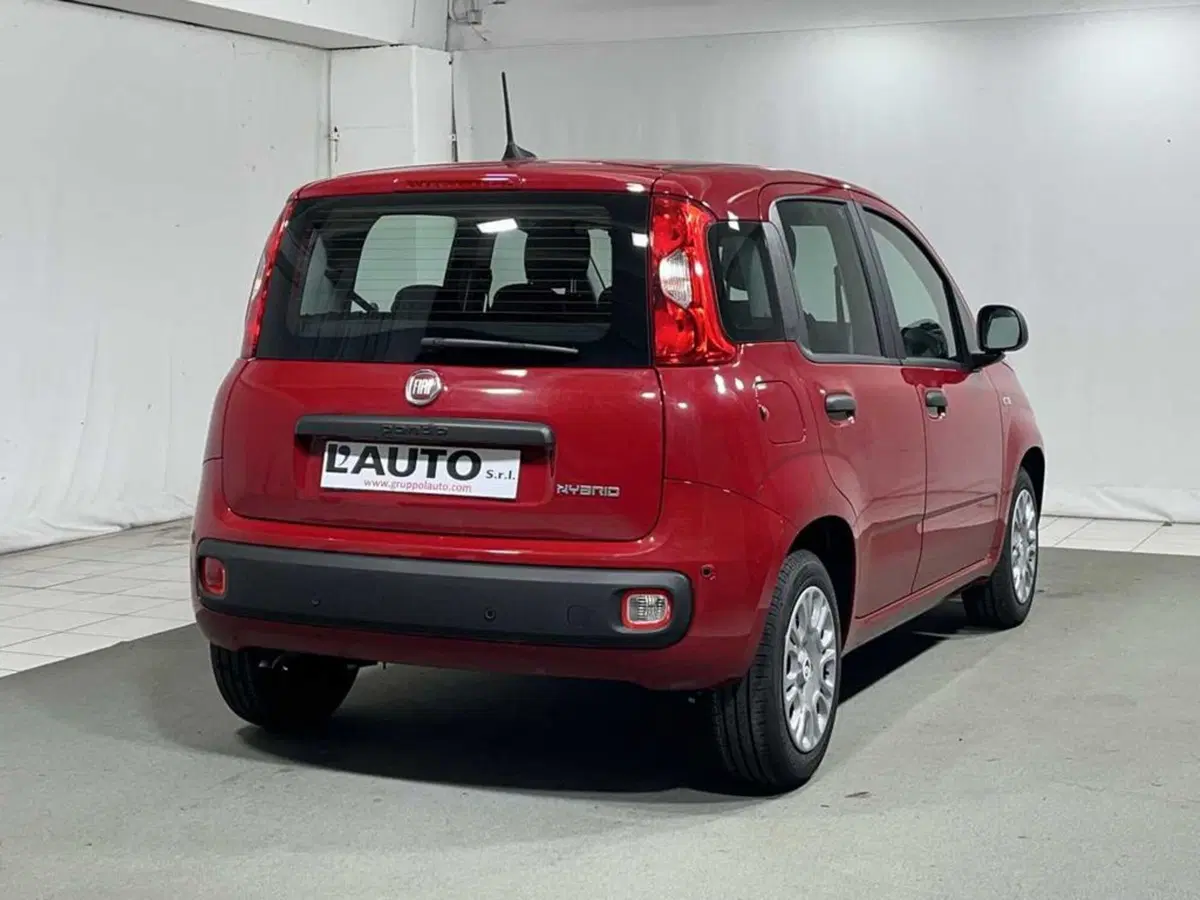Fiat Pandina nuova a Sondrio (5)