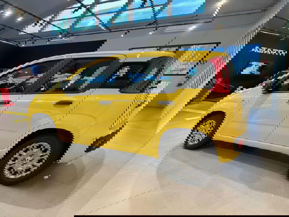 Fiat Pandina nuova a Sondrio (2)