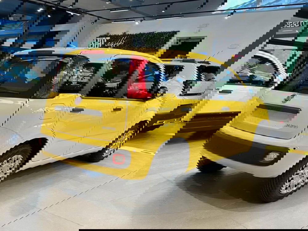 Fiat Pandina nuova a Sondrio (5)