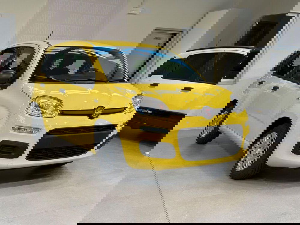 Fiat Pandina nuova a Sondrio (7)