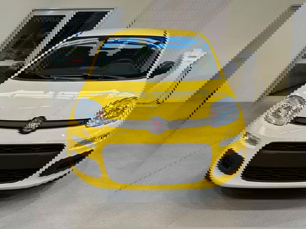 Fiat Pandina nuova a Sondrio (8)