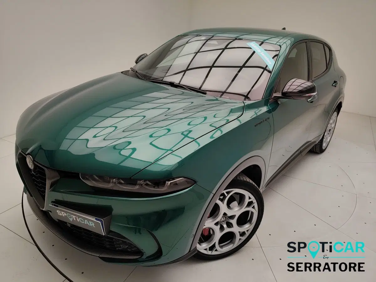 Alfa Romeo Tonale usata a Como (15)