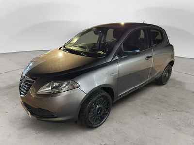 Lancia Ypsilon 0.9 TwinAir 85 CV 5 porte Metano Ecochic Elefantino del 2013 usata a Salerno