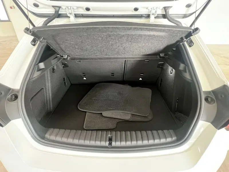 BMW Serie 1 usata a Torino (12)