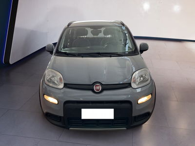 Fiat Panda 1.0 firefly hybrid s&amp;s 70cv 5p.ti del 2022 usata a Torino