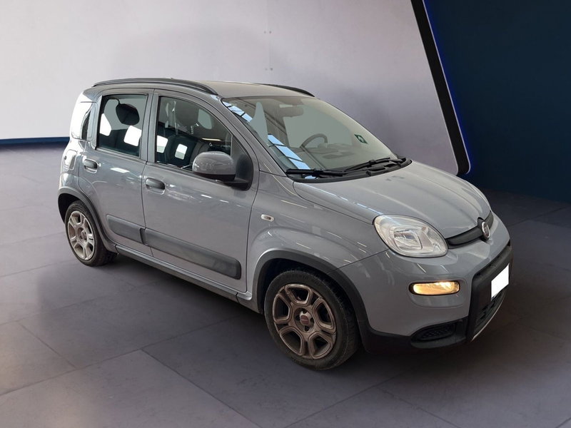 Fiat Panda usata a Torino (3)