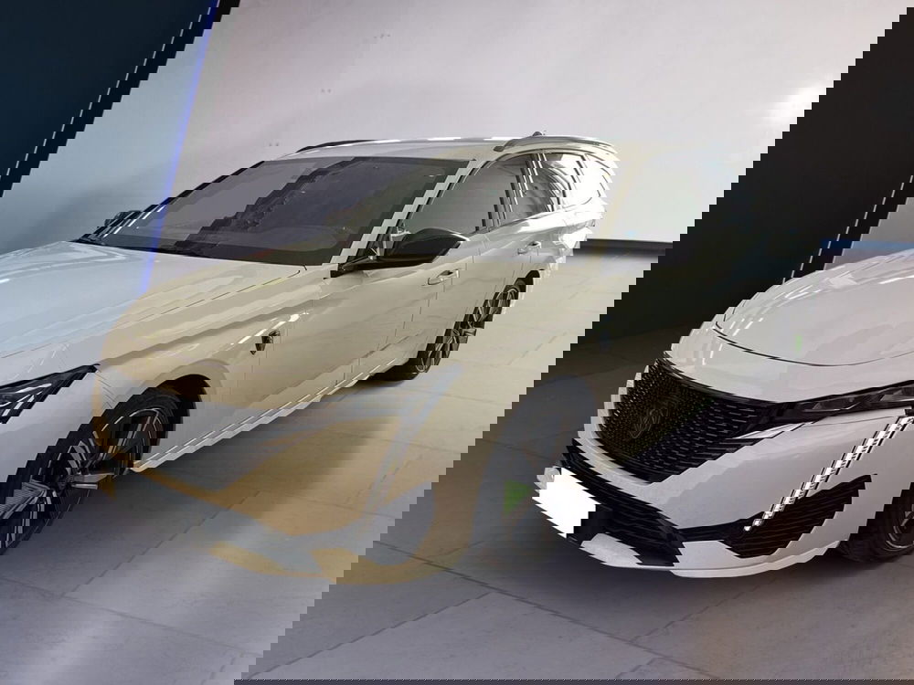 Peugeot 308 SW usata a Torino (2)