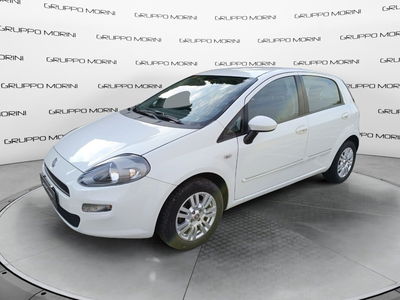 Fiat Punto 1.4 S&amp;S 8V Dualogic 5 porte Easy del 2012 usata a Imola