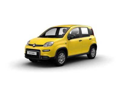 Fiat Panda 1.0 firefly hybrid s&amp;s 70cv 5p.ti nuova a Sinalunga