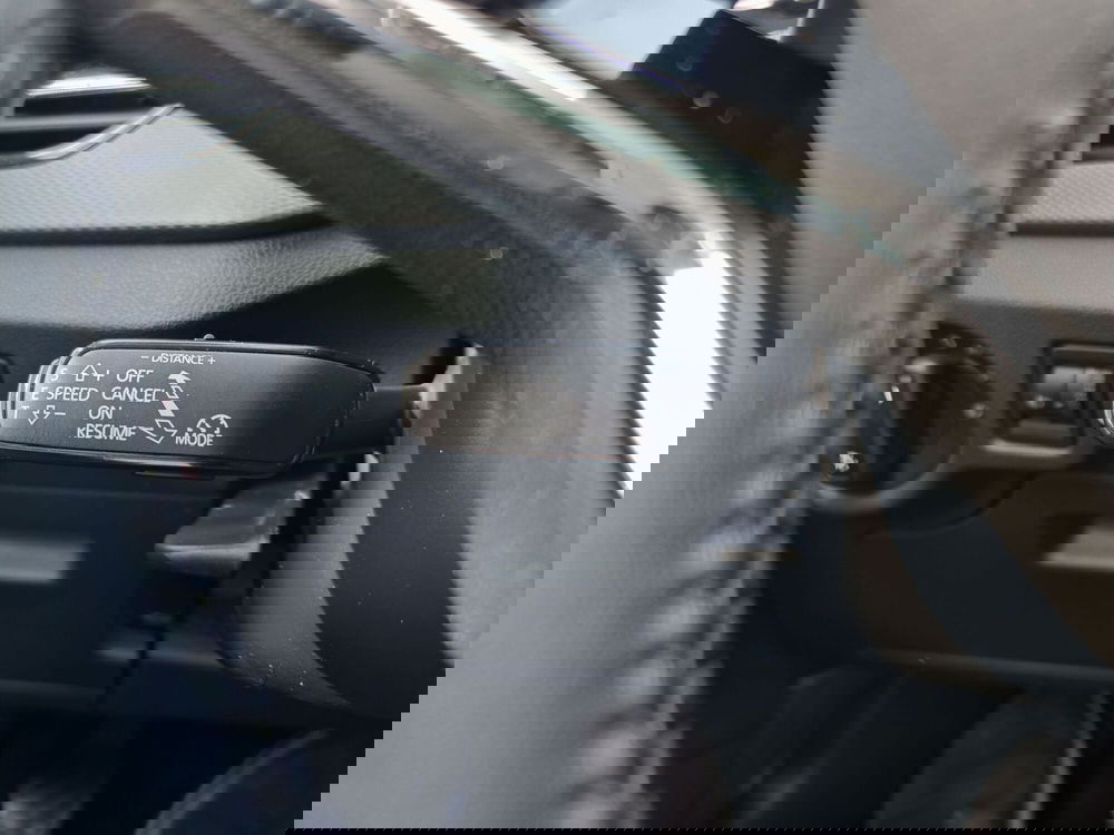 Skoda Kamiq usata a Palermo (16)