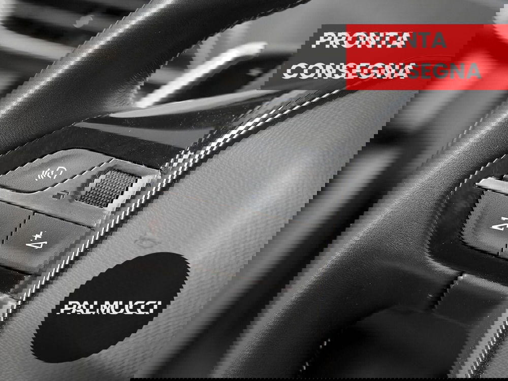 Peugeot 3008 usata a Prato (13)