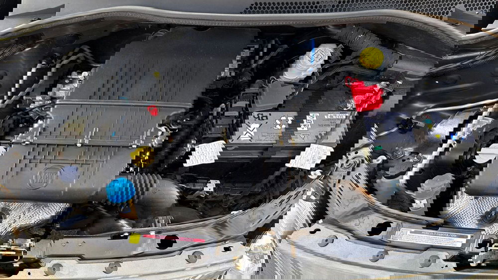 Fiat 500 usata a Treviso (19)