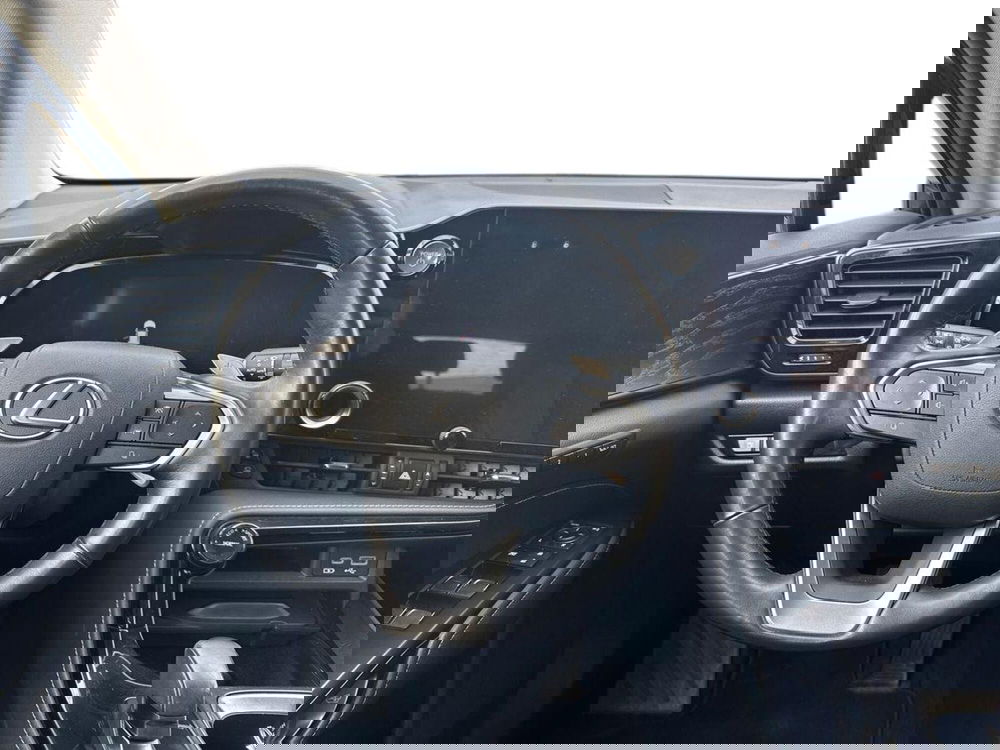 Lexus NX usata a Firenze (10)