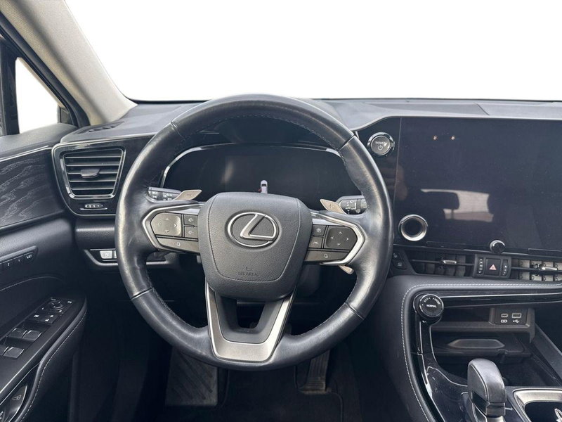 Lexus NX usata a Firenze (10)