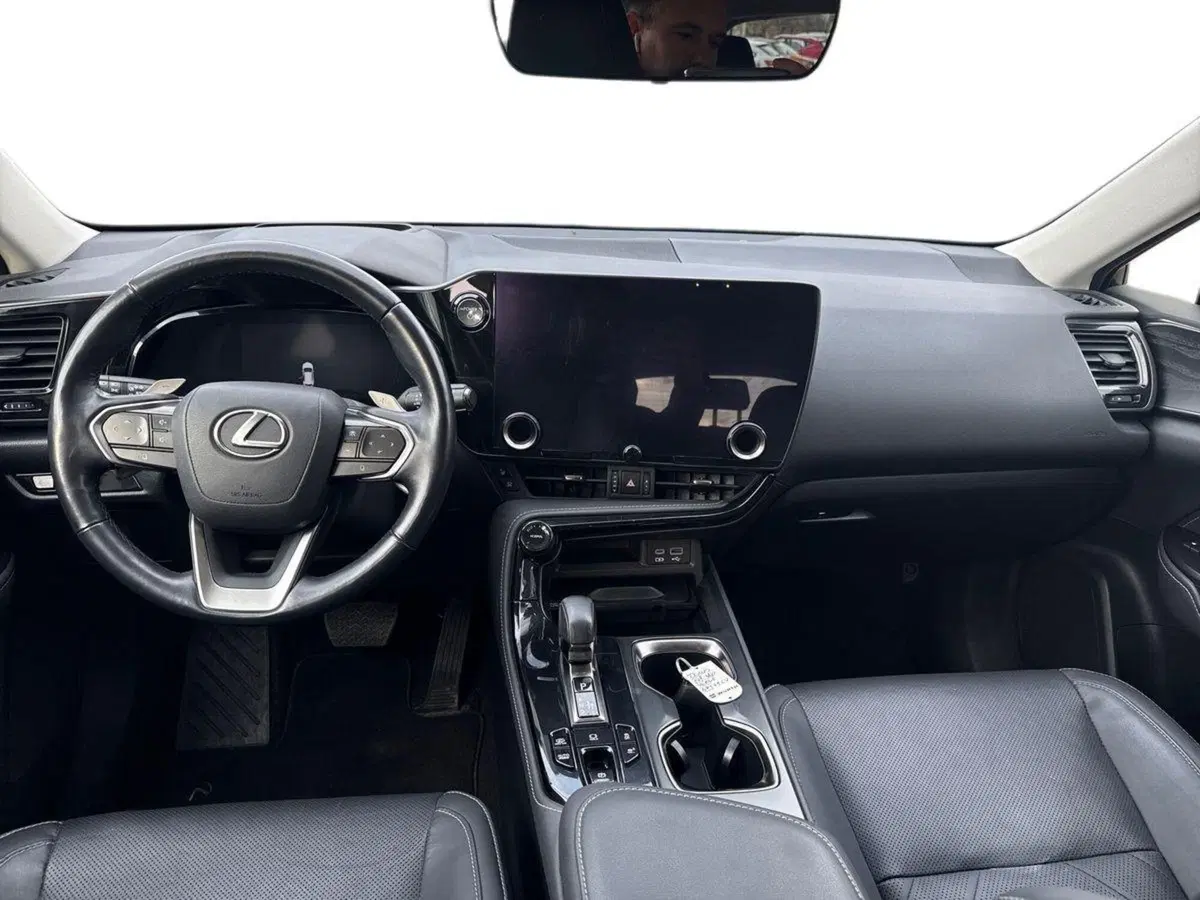 Lexus NX usata a Firenze (11)