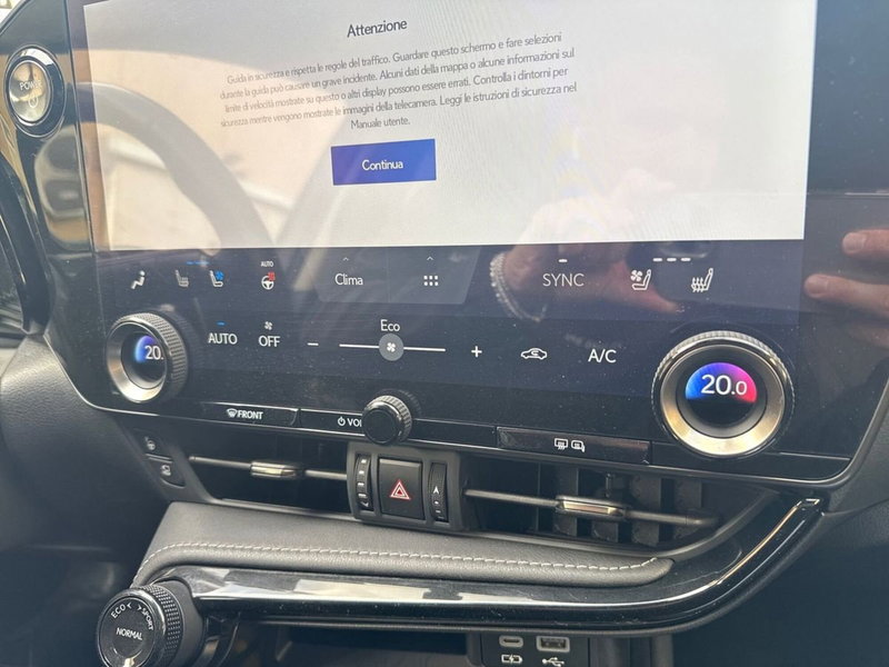 Lexus NX usata a Firenze (15)