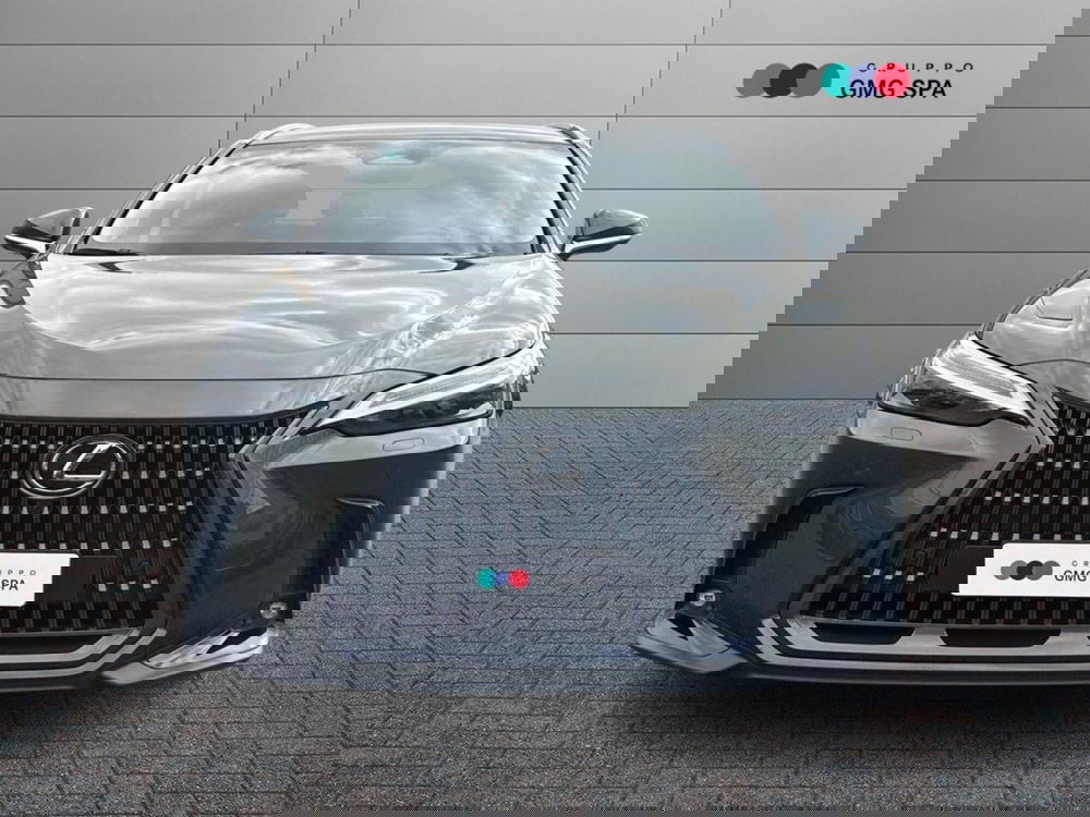 Lexus NX usata a Firenze (2)